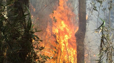 Incêndio no Parque Nacional da Serra dos Órgãos já atinge 575 hectares na região de Petrópolis (RJ)