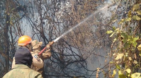 Combate a focos de incêndio é intensificado na região do Pantanal