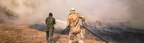 Forças Armadas enfrentam batalha contra as chamas no Pantanal