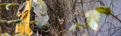 Forças Armadas combatem novos focos de incêndio no Mato Grosso