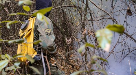 Forças Armadas combatem novos focos de incêndio no Mato Grosso