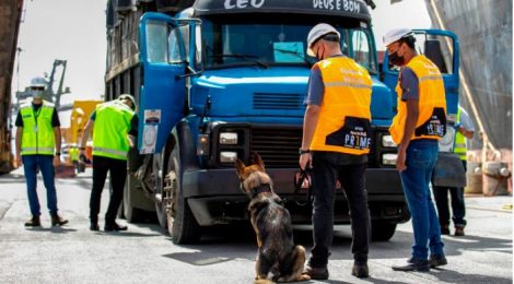 GUARDA PORTUÁRIA DO PARANÁ É PIONEIRA NA UTILIZAÇÃO DE CÃES DE FARO