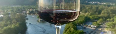 EXPORTAÇÃO BRASILEIRA DE VINHOS E ESPUMANTES AUMENTA 62% NESTE ANO