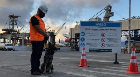 PORTOS DO PARANÁ REFORÇA SEGURANÇA NO TRANSPORTE COM INSPEÇÕES COM CÃES DE FARO