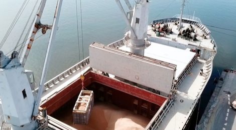 Porto Ponta do Félix embarcará 120 mil toneladas de pellets de madeira até o final de 2022