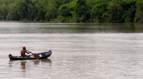 Amazônia Legal terá recursos para projetos de bioeconomia