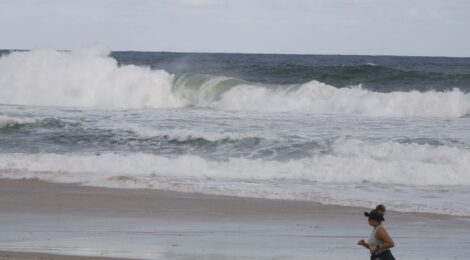 SP Ocean Week 2023 chama atenção para conhecimento dos mares