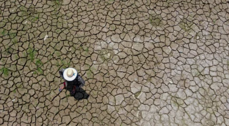 Seca já afeta todos os 62 municípios do Amazonas