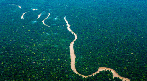 Projeto que conserva a Amazônia será apresentado pela Petrobras na COP-27