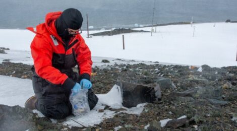 Brasil na Antártica: Uma Jornada de Descobertas e Preservação