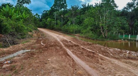 Desmatamento na Amazônia cai em setembro, aponta o Inpe