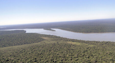 Principal canal do Rio Paraná obstruído após navio encalhar