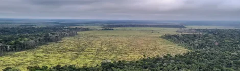 Degradação de florestas na Amazônia bate recorde mensal em setembro