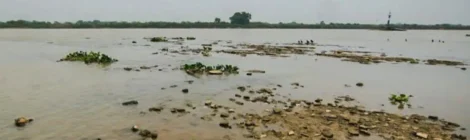 Rio Paraguai registra mínima histórica em ano mais seco no Pantanal