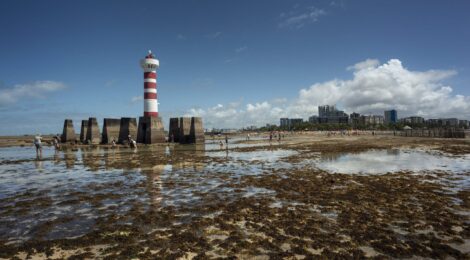 Lei do Mar: Brasil tem chance de liderar proteção global do oceano