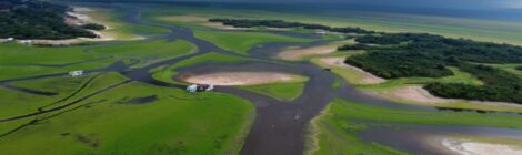 Após a seca histórica do rio Amazonas a dificuldade agora é conseguir navegar em meio a vegetação