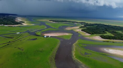 Após a seca histórica do rio Amazonas a dificuldade agora é conseguir navegar em meio a vegetação